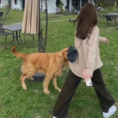 黑暗时代